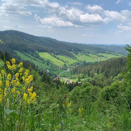 Appartamento Polansky Dvur Velké Karlovice Esterno foto