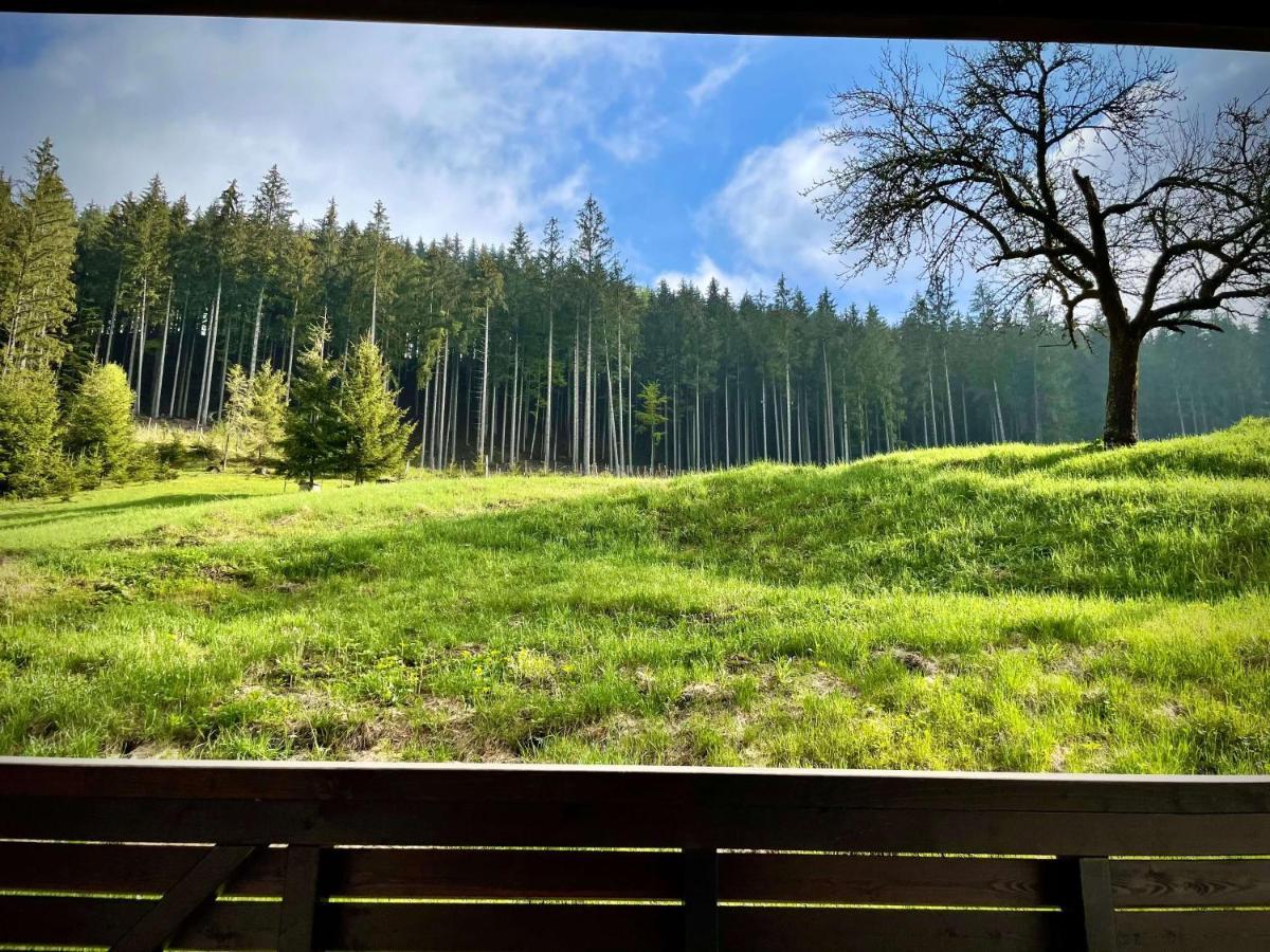 Appartamento Polansky Dvur Velké Karlovice Esterno foto