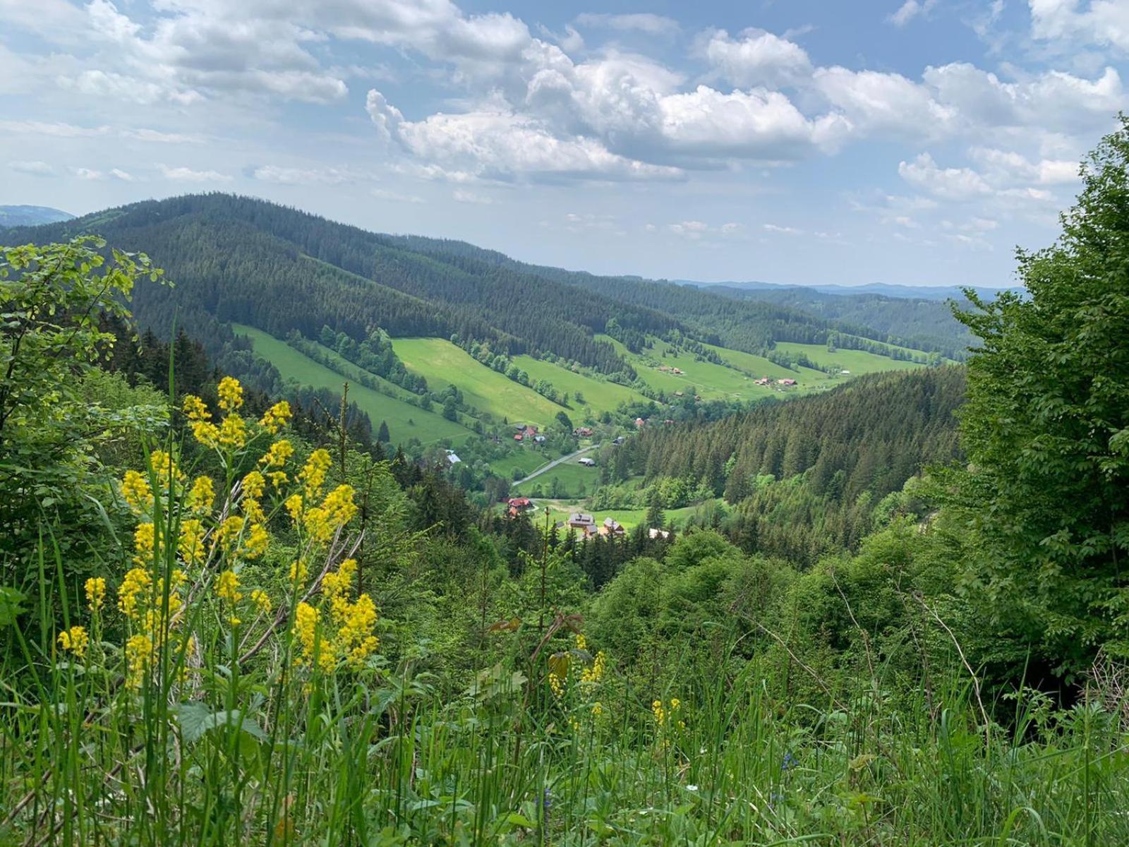 Appartamento Polansky Dvur Velké Karlovice Esterno foto